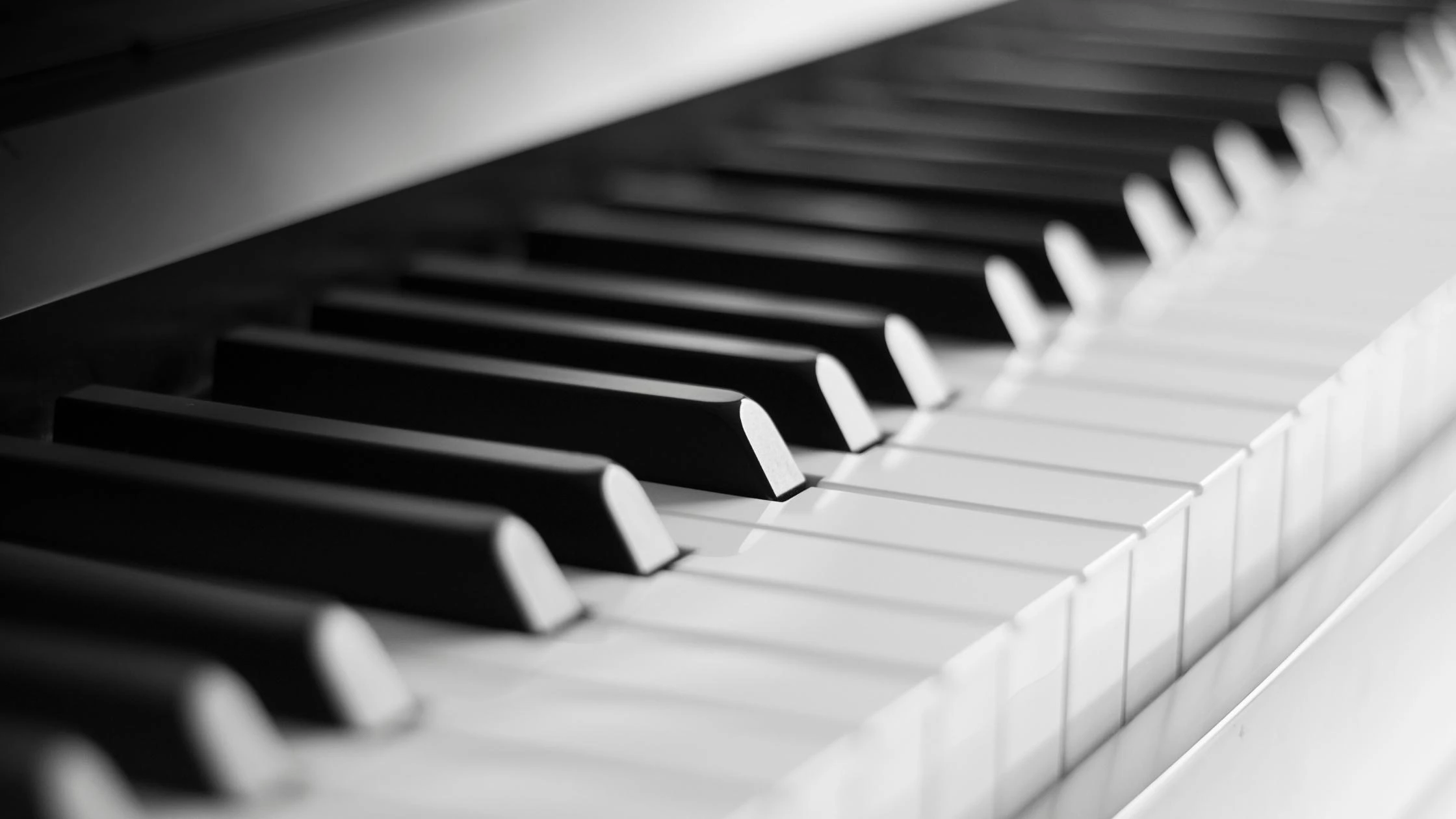 The game with our new additions!